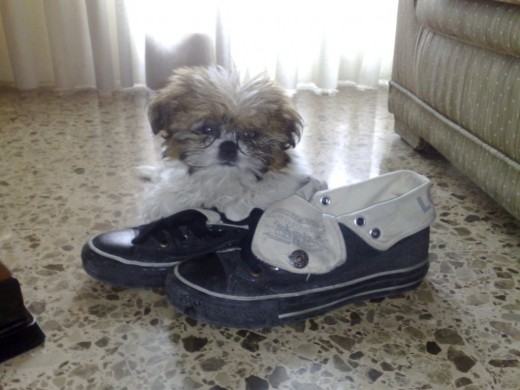Son mas grandes las zapatillas y solo son un 38 jeje Son mas grandes las zapatillas y solo son un 38 jeje